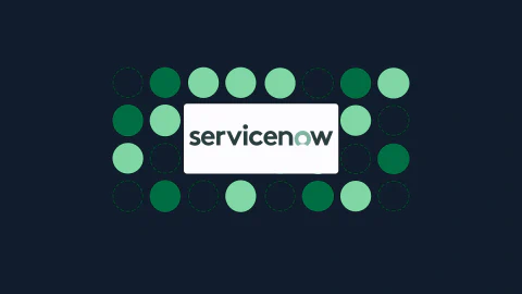 ServiceNow Without the Ticket Hell main image