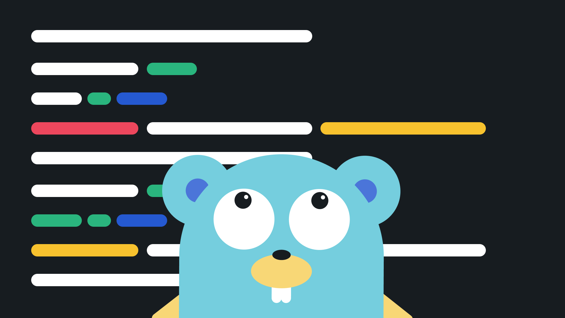 Golang command line arguments