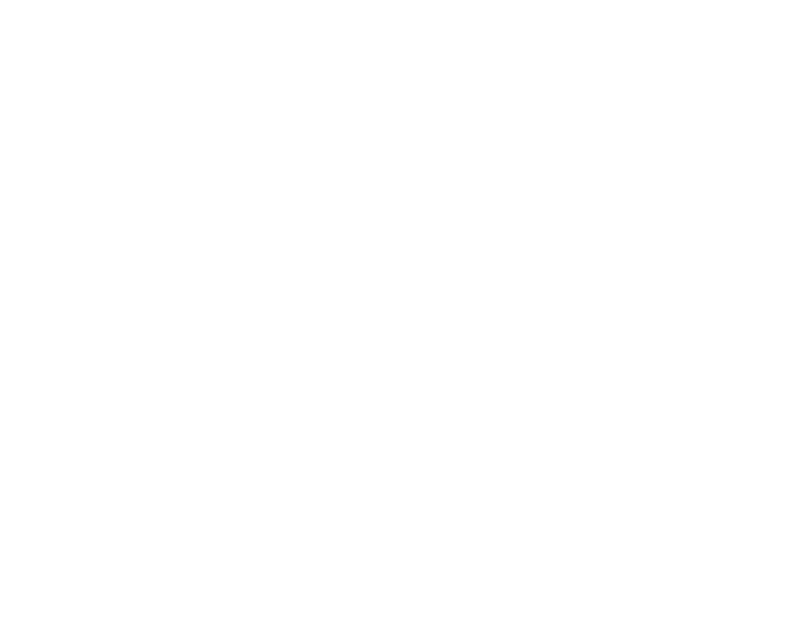 ZTL logo